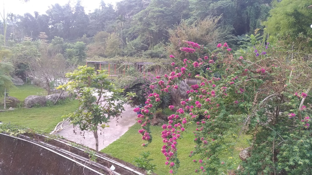 Family Room, Courtyard View (8 pax) photo 3