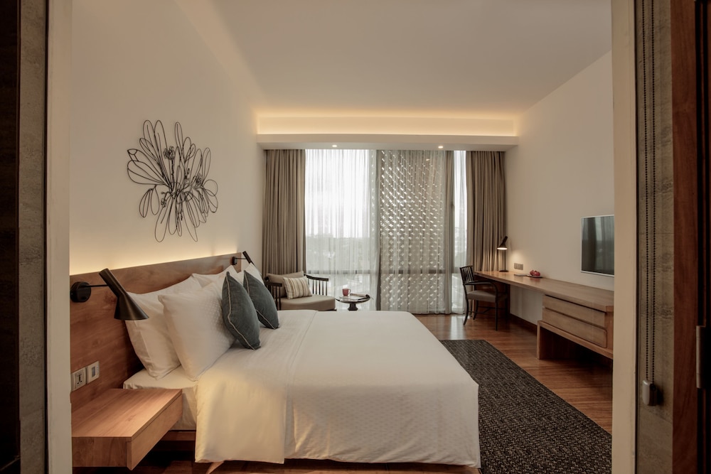 Deluxe Double Room photo 3