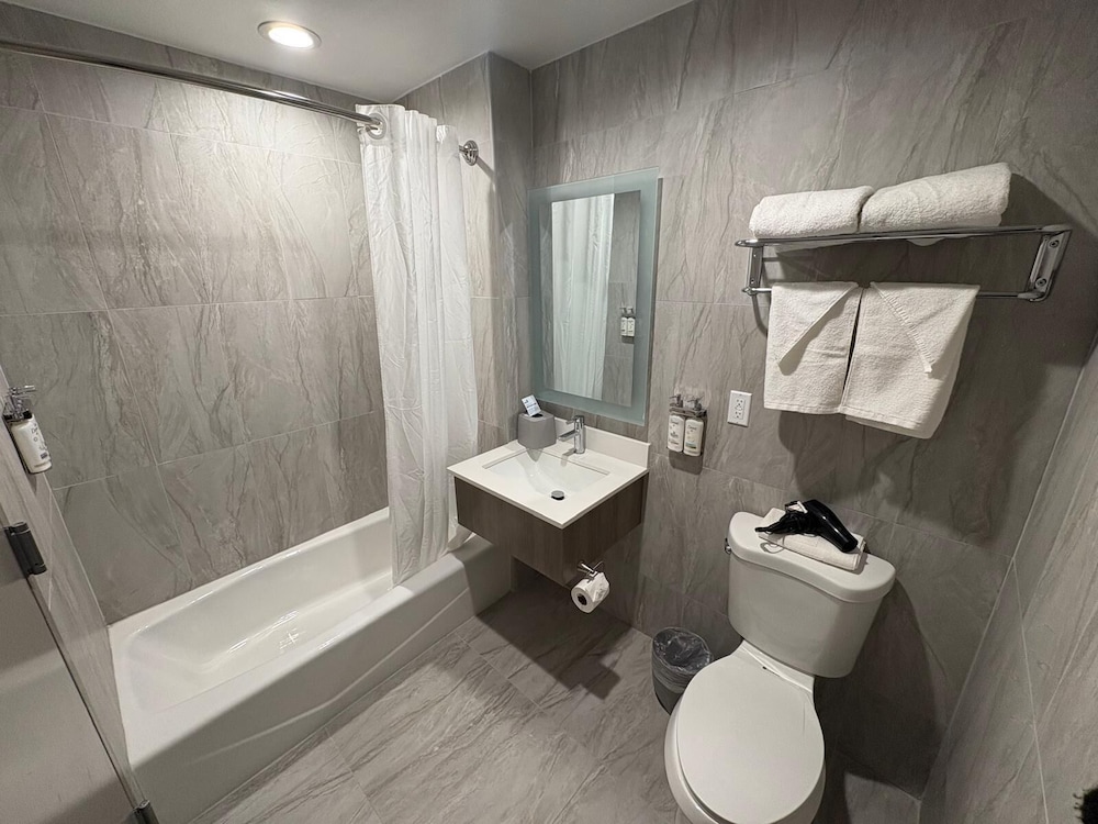 Suite, 1 Queen Bed