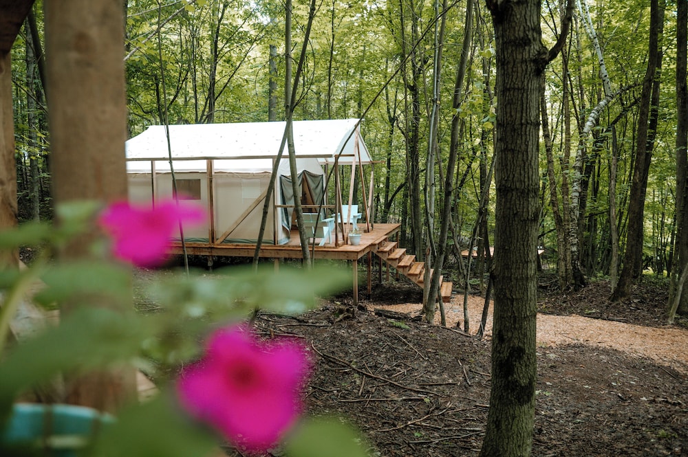 Glamping tents