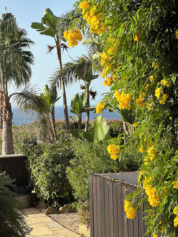 Comfort Studio, Balcony, Pool View (with balcony or terrace) - Photo 7