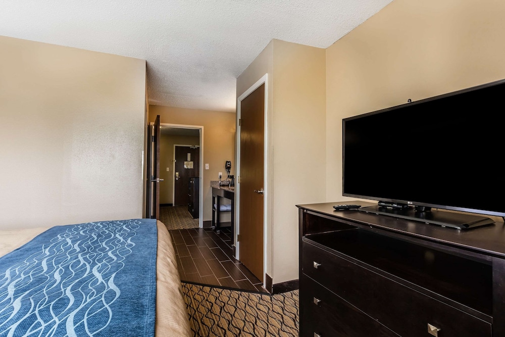 Suite, 1 King Refined Non Smoking 2 Person Sofa Bed - Photo 3
