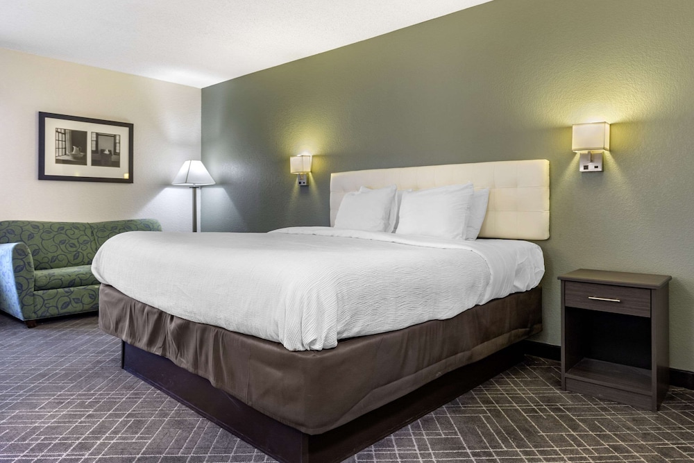 Standard Room, 1 King Bed, Non Smoking - Photo 1