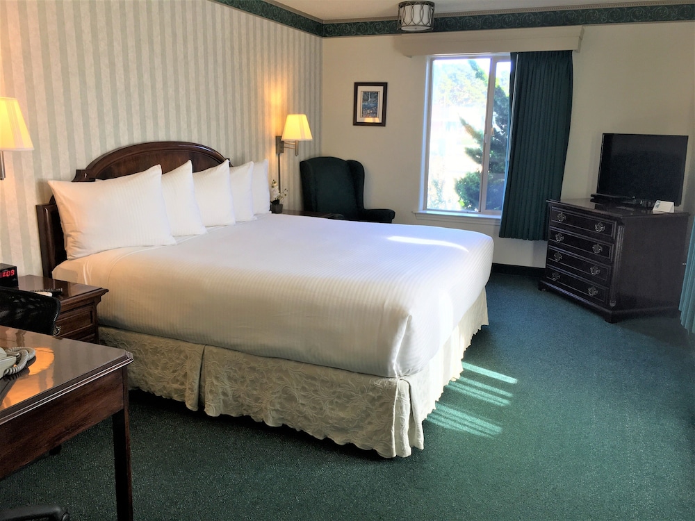 Comfort Suite, 1 King Bed (No Pets) photo 2