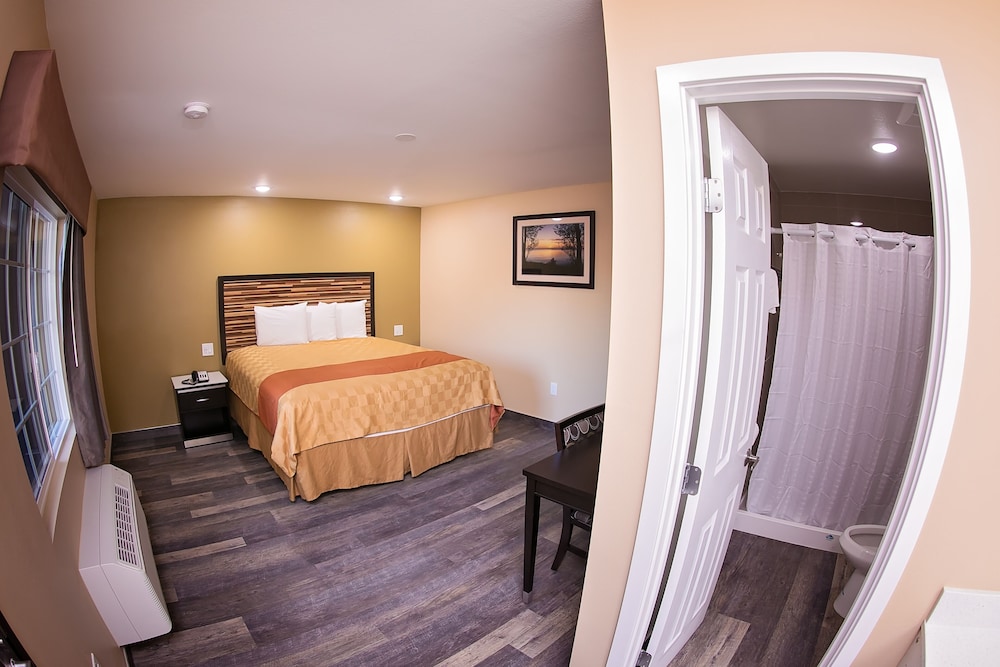 Standard Single Room photo 1
