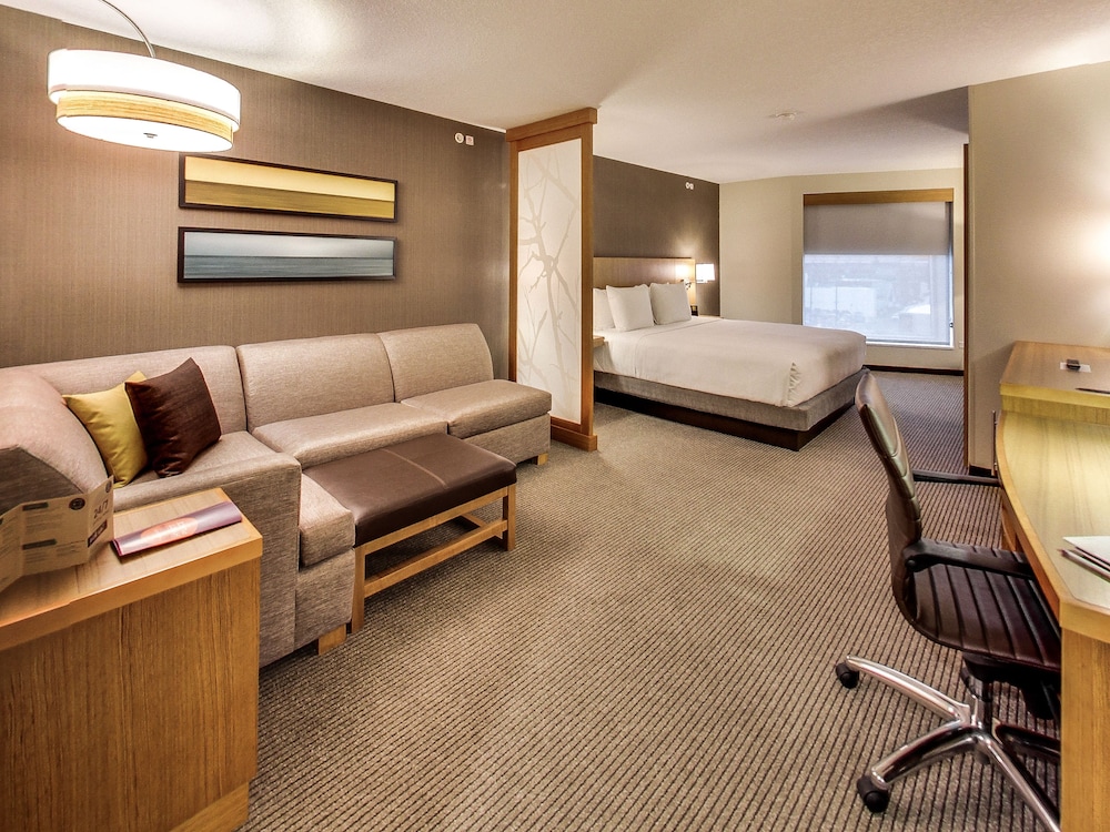 Room, 1 King Bed