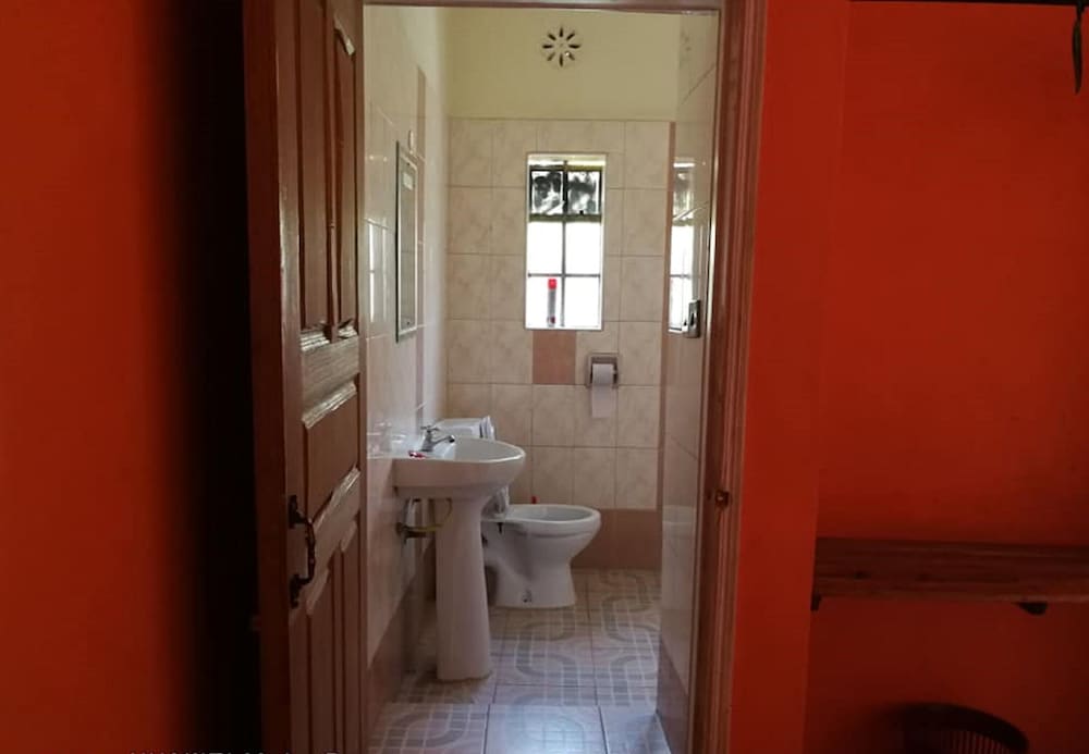 Single Room photo 3
