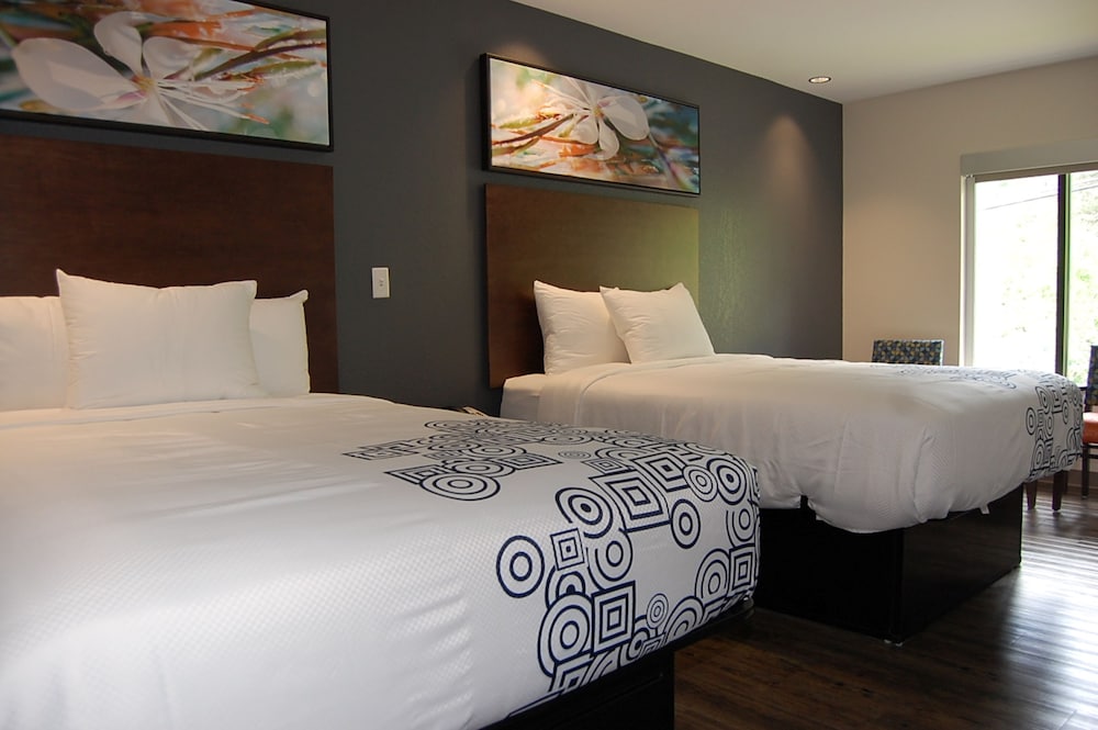 Deluxe Room - Photo 12
