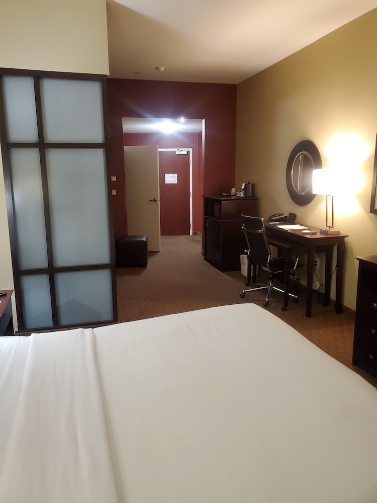 Suite, 1 King Bed, Accessible, Non Smoking (Roll-In Shower) - Photo 3