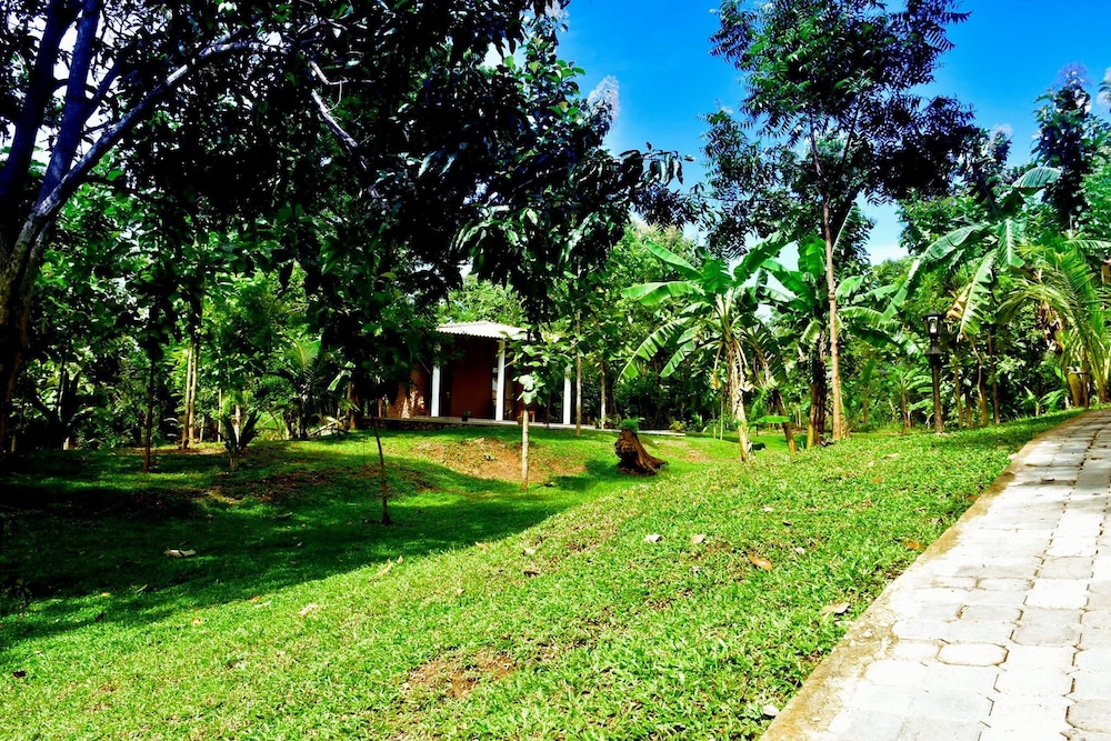 Family Suite, Garden View photo 3