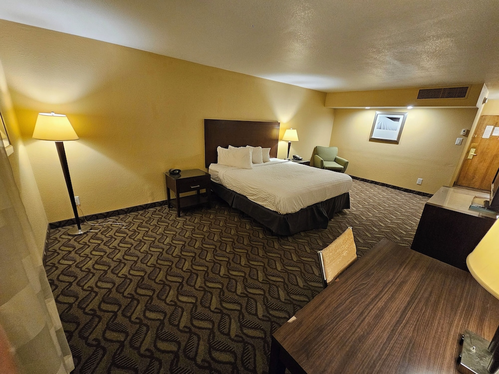 Standard Single Room, 1 King Bed, Non Smoking - Photo 1