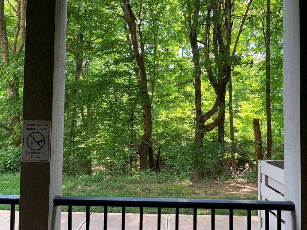 Polaris King Flat Pet-friendly Nature Views, Billede 21