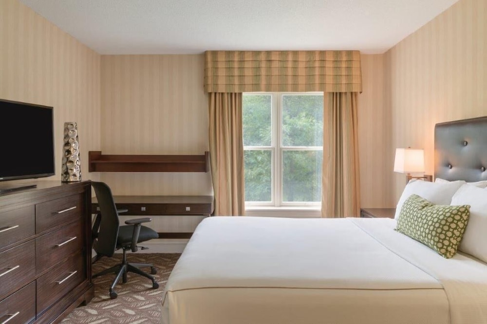 Executive Studio Suite, 1 Queen Bed with Sofa bed