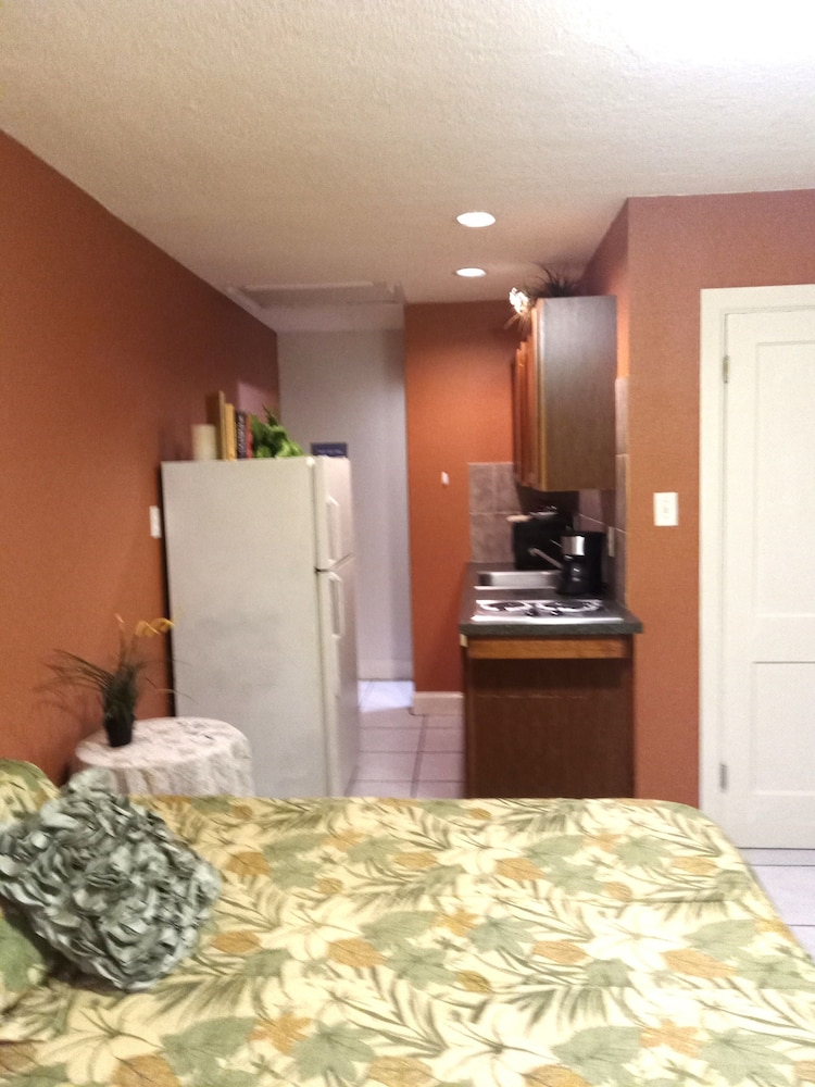 Deluxe Studio, 1 Queen Bed with Sofa bed photo 1