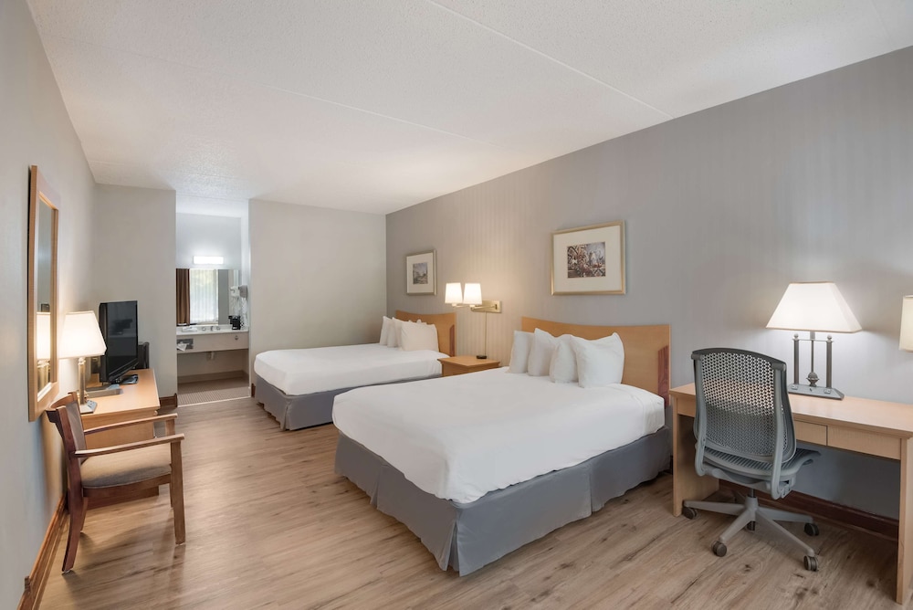 Standard Room, 2 Queen Beds, Non Smoking, Refrigerator & Microwave (Pet Friendly) - Photo 1