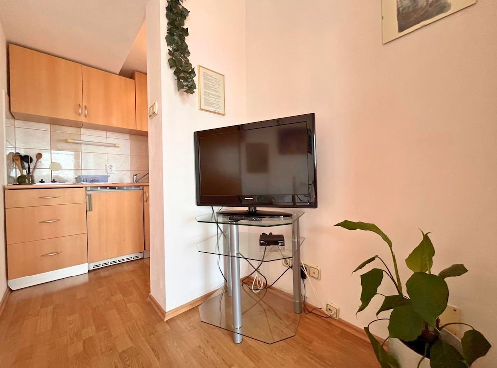 Apartment (One Bedroom Apartments (A5))