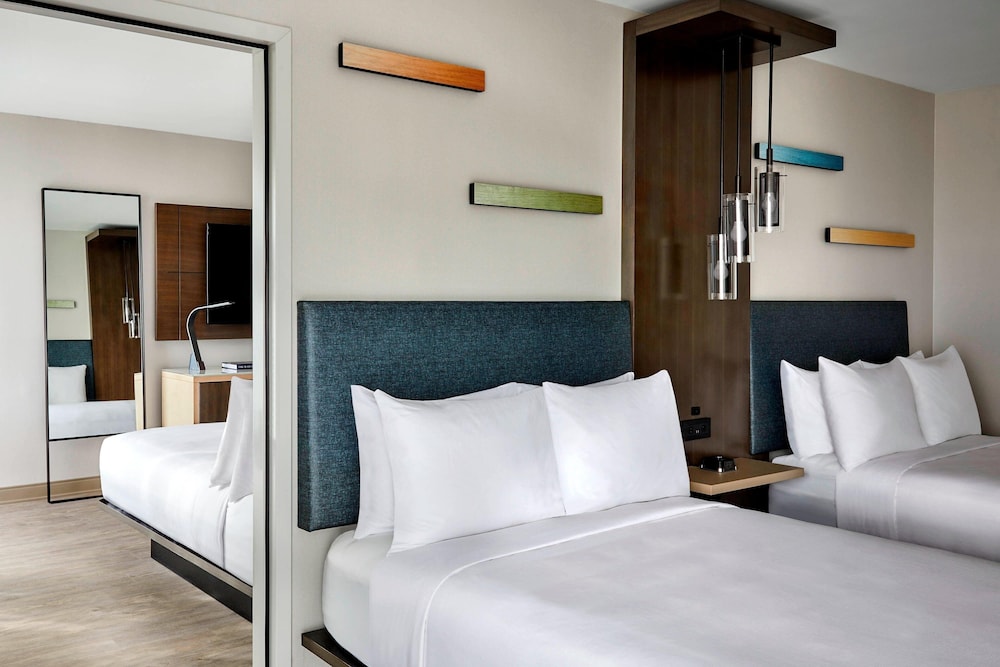 Standard Room, 2 Double Beds (Mobility/Hearing Access, Roll-In Shwr) - Photo 3