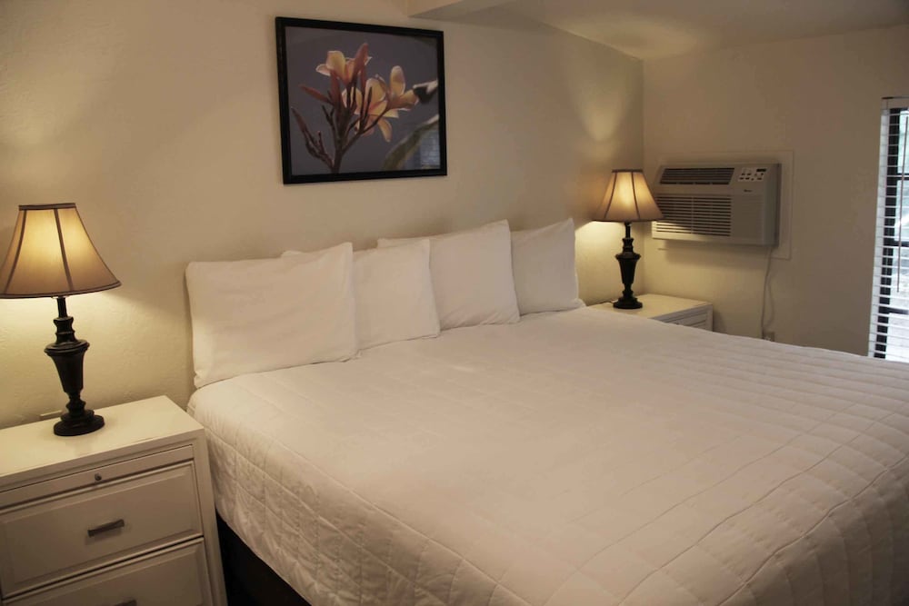 Suite, 1 Bedroom, Kitchen, Sea Facing photo 3
