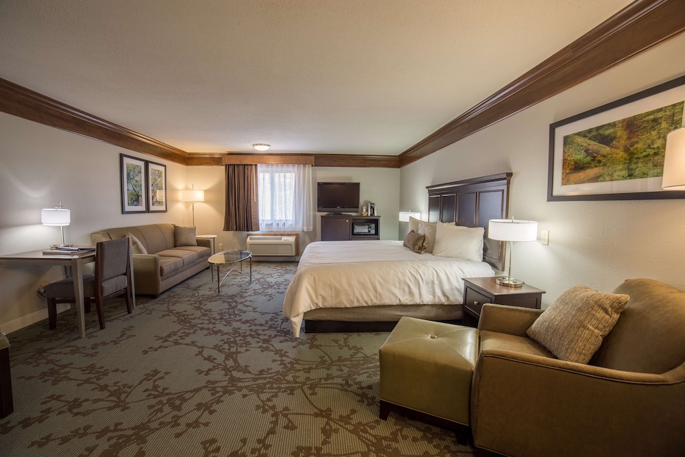 Junior Suite, 1 King Bed, Non Smoking, Refrigerator & Microwave photo 1