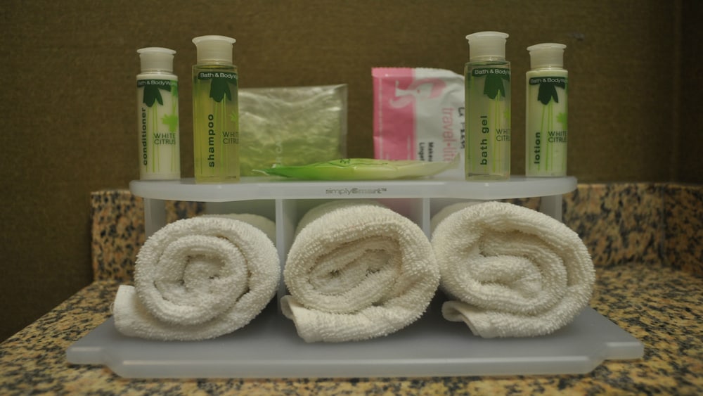 Suite, Accessible (Mobility, Communication) photo 2