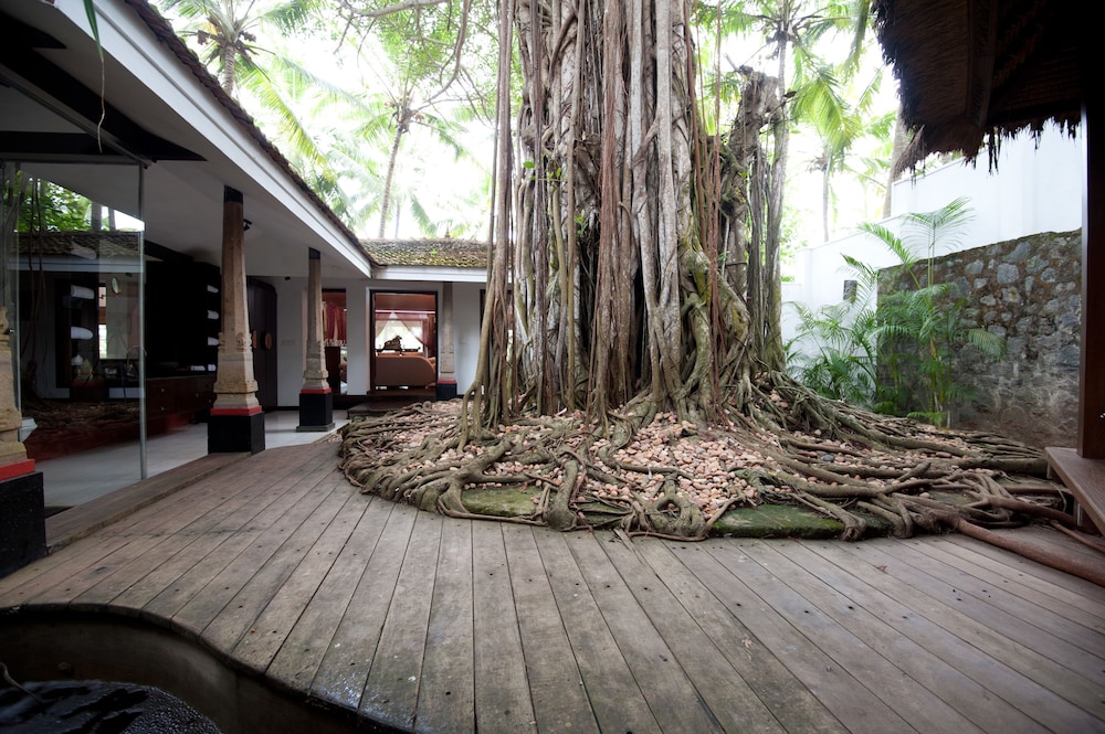 The Banyan Tree Bungalow - Photo 4