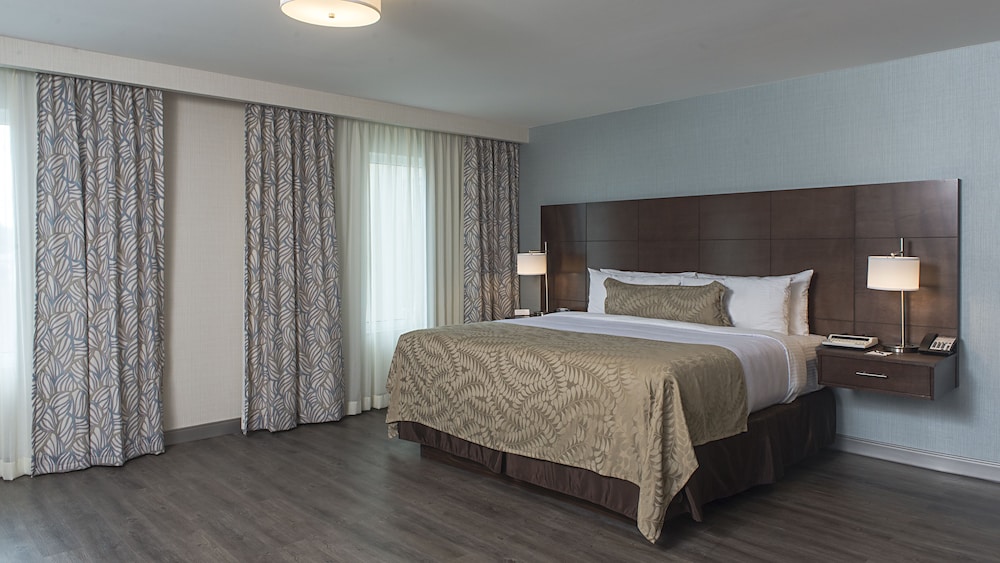 Studio Suite, Mobility Accessible, Kitchen