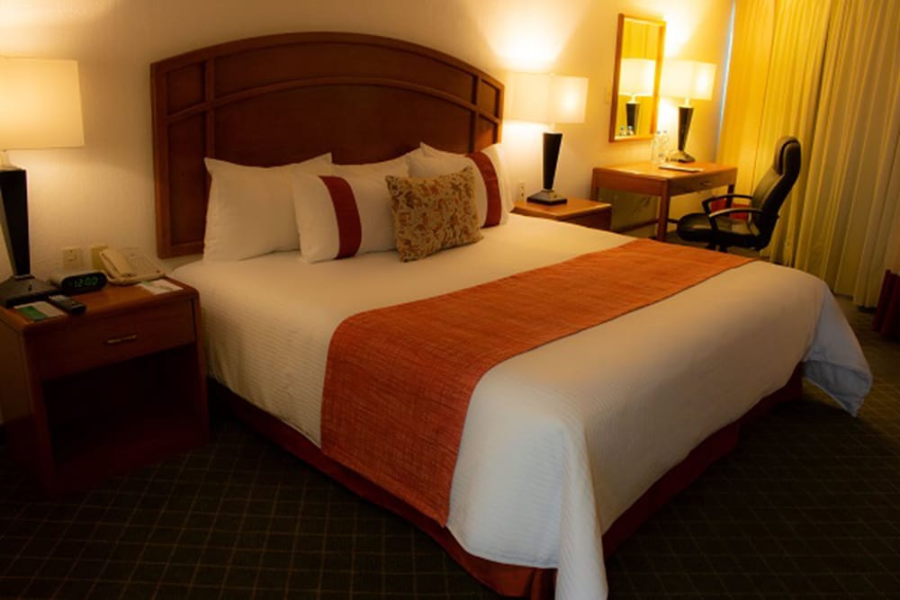 Deluxe Room, 1 King Bed photo 3