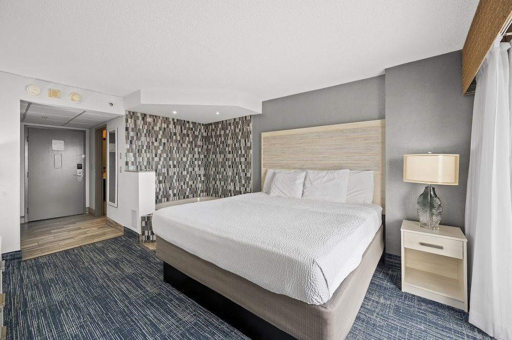 Single Room, 1 King Bed, Jetted Tub, City View photo 2