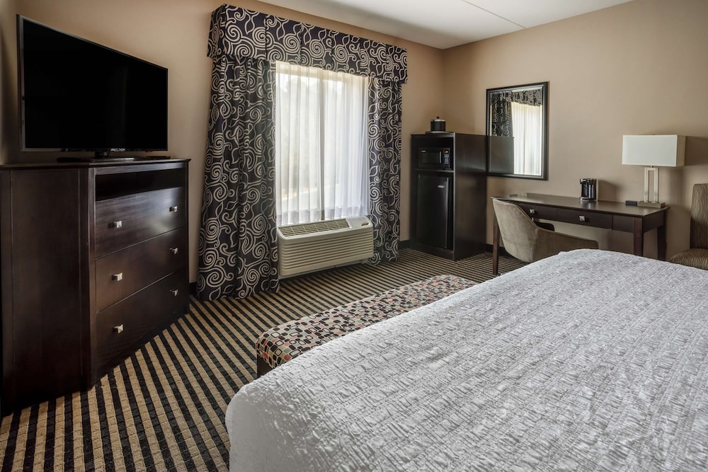 Room, 1 King Bed, Accessible (Mobility & Hearing, Roll-In Shower) - Photo 6