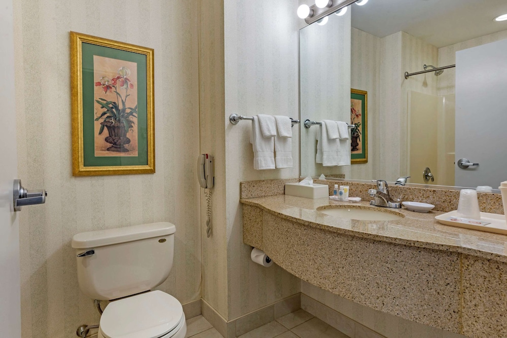 Suite, Non Smoking - Photo 4