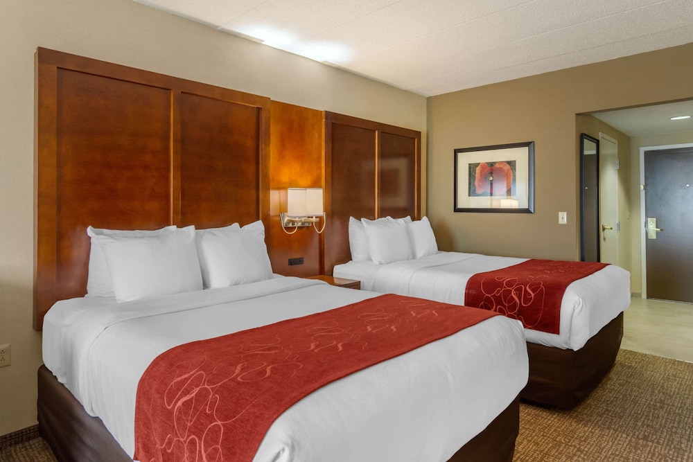 Studio Suite, Multiple Beds - Photo 5