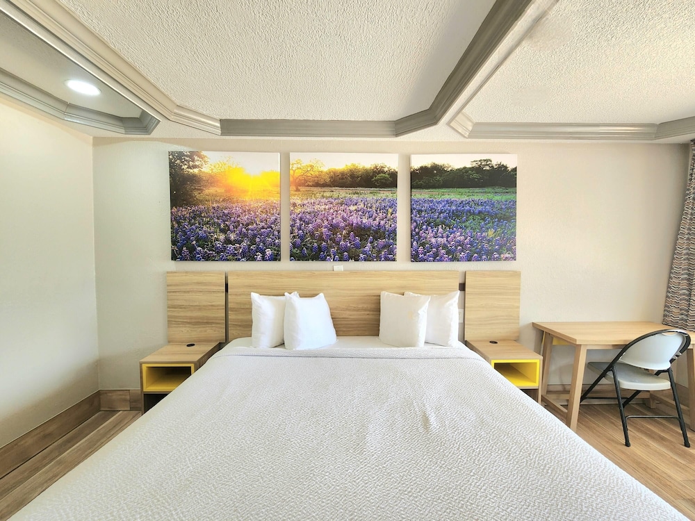 Room, 1 King Bed, Non Smoking