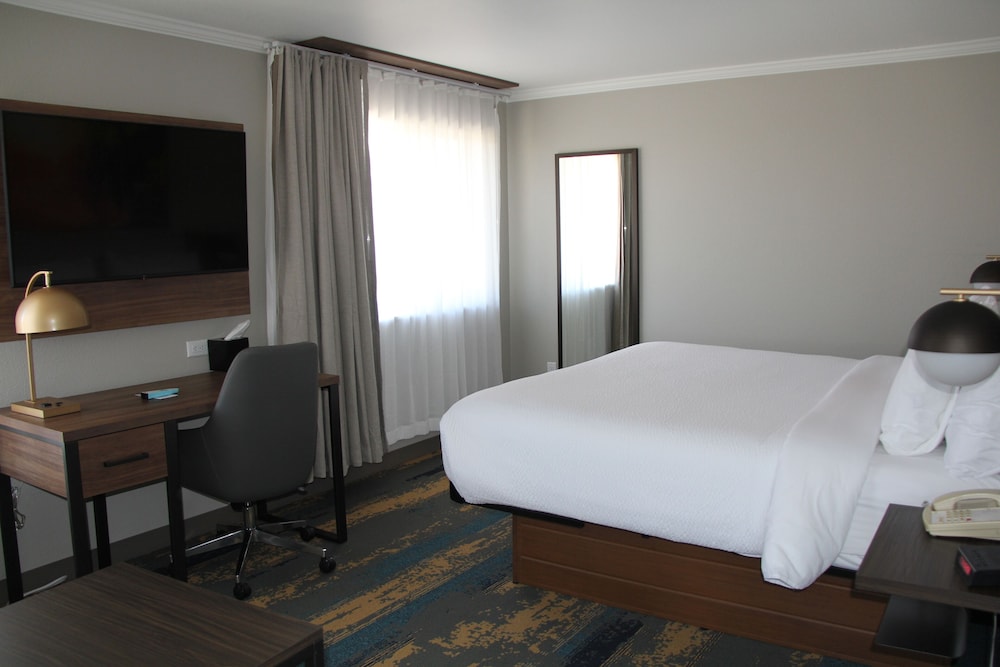 Studio Suite, 1 King Bed, Non Smoking - Photo 12