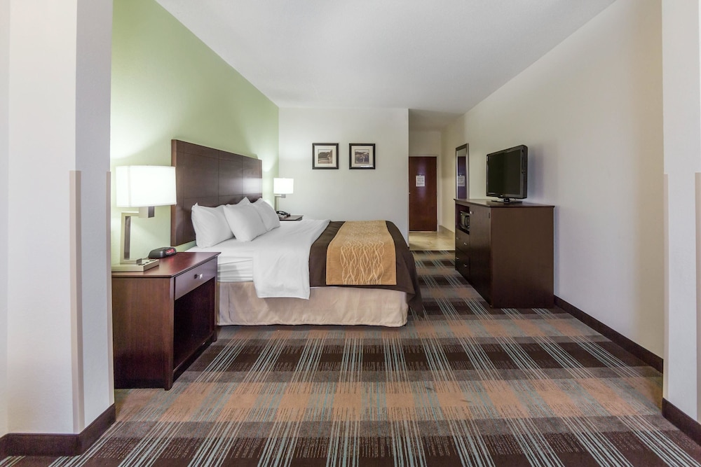 Standard Room, 1 King Bed, Non Smoking photo 3