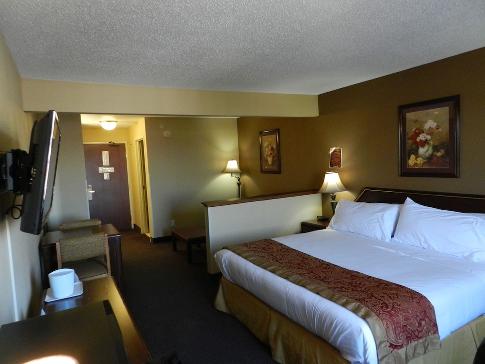 Junior Studio Suite photo 1