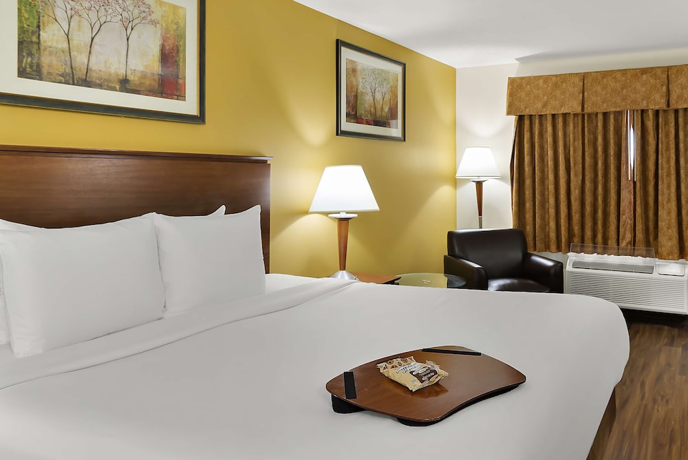 Standard Room, 1 Queen Bed, Accessible, Non Smoking (Refrigerator & Microwave) - Photo 3