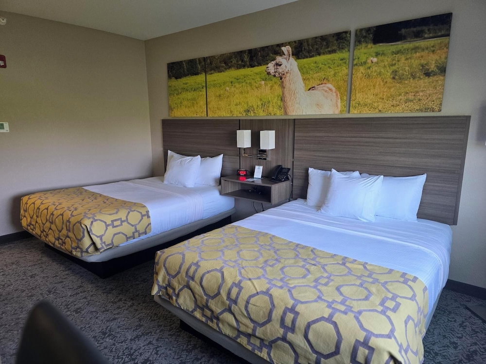 Room, 2 Queen Beds, Accessible, Non Smoking - Photo 2