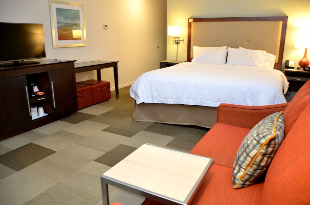 Room, 1 King Bed, Non Smoking (Drinks & Snacks), photo 6