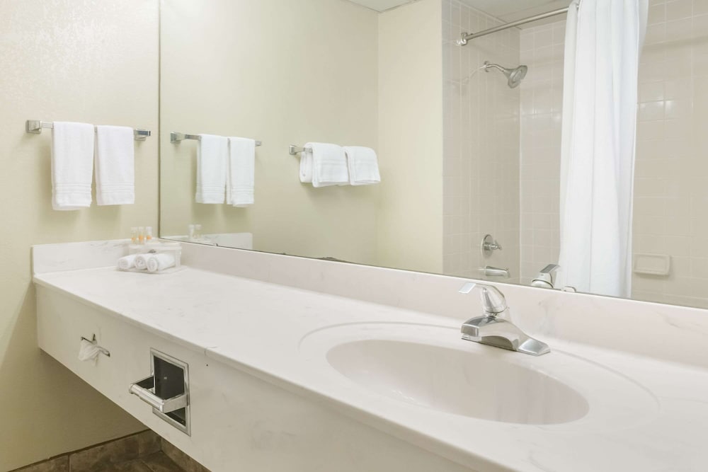 Suite, 1 King Bed, Refrigerator & Microwave photo 3