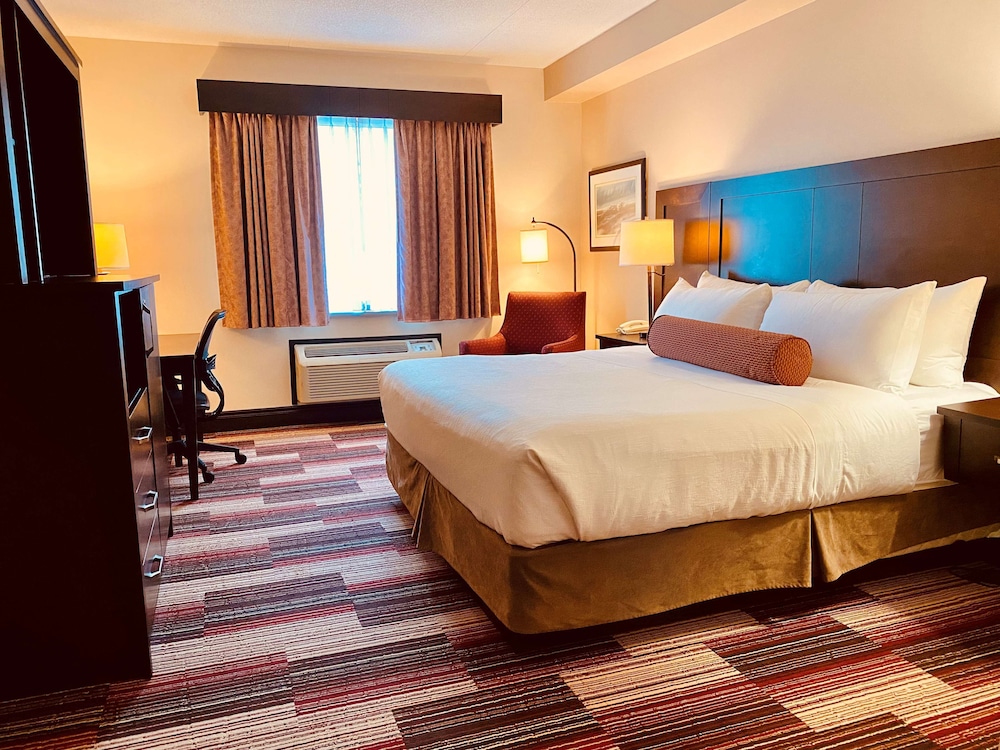 Standard Room, 1 King Bed, Non Smoking, Refrigerator & Microwave - Photo 2
