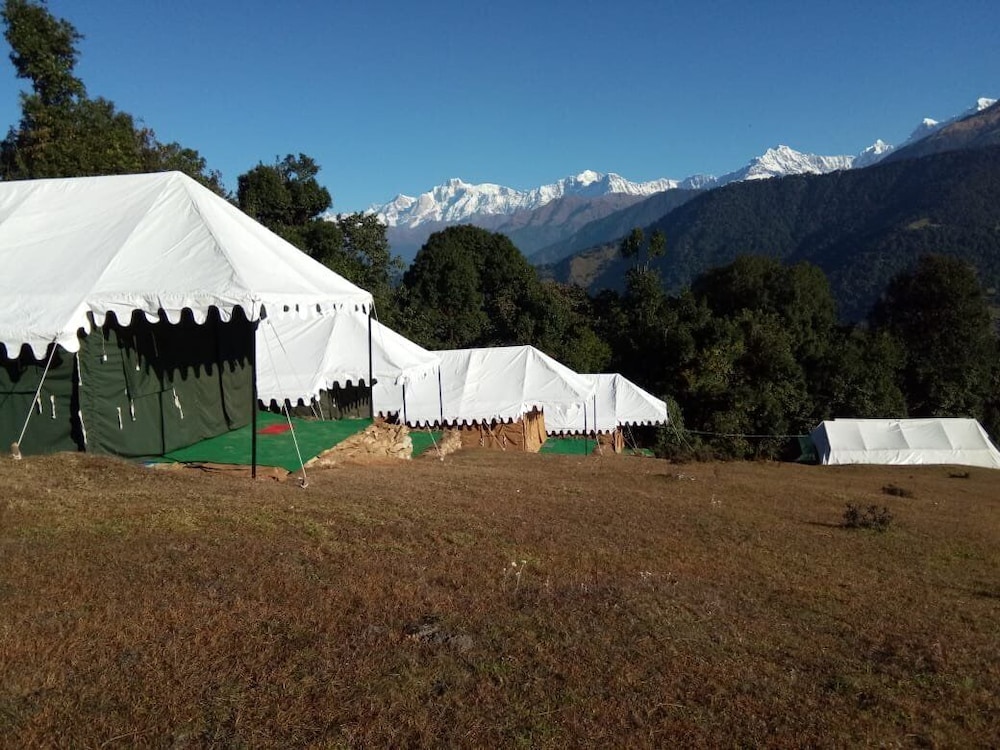 Basic Tent, Mountain View photo 3
