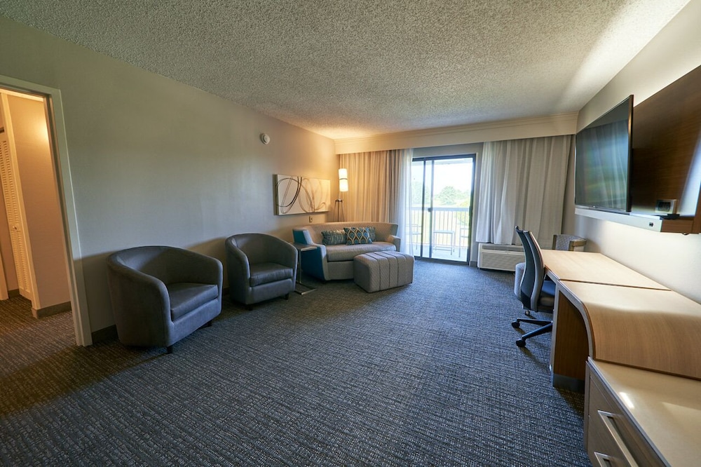 Suite, 1 King Bed with Sofa bed photo 3
