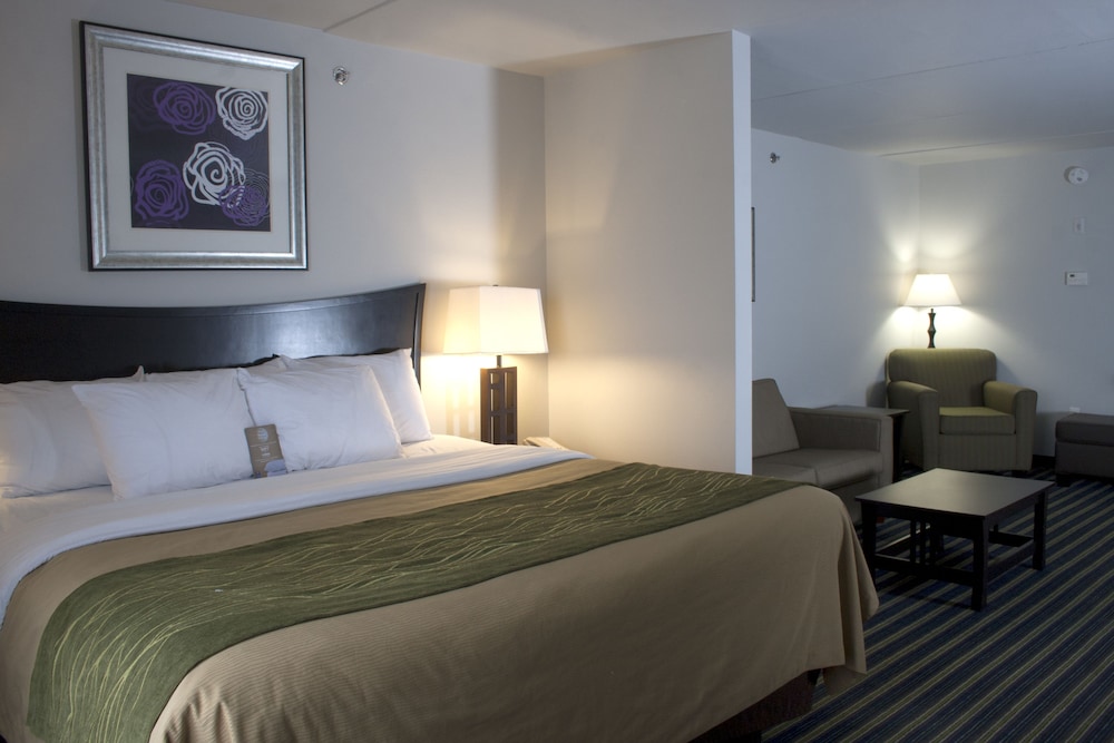 Suite, 1 King Bed with Sofa bed, Non Smoking