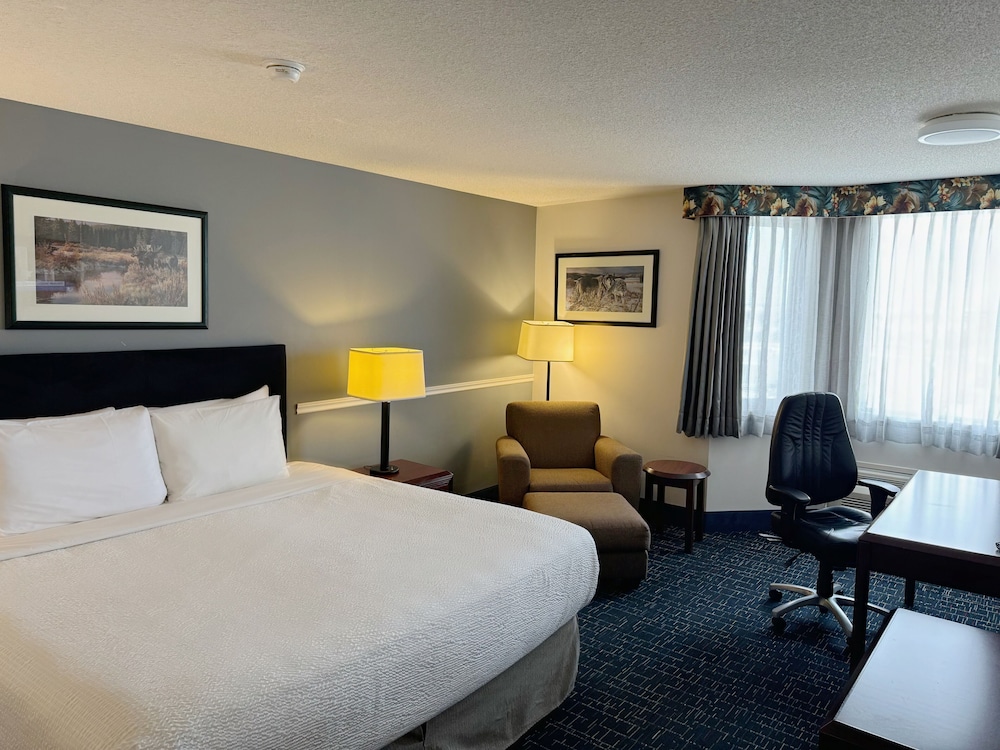 King Room - Photo 6