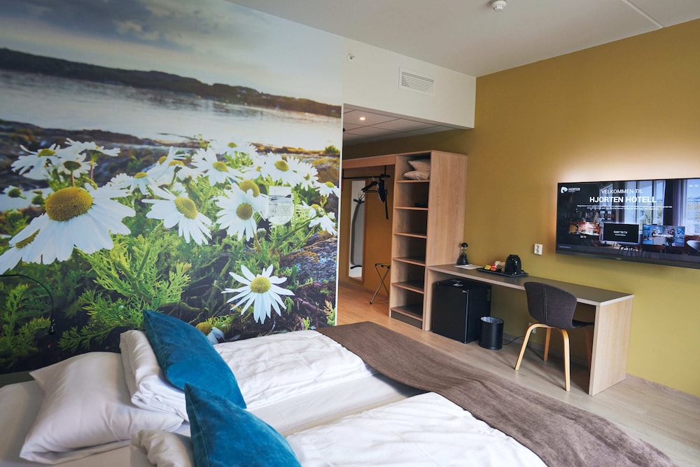 Superior Room (HC) photo 2