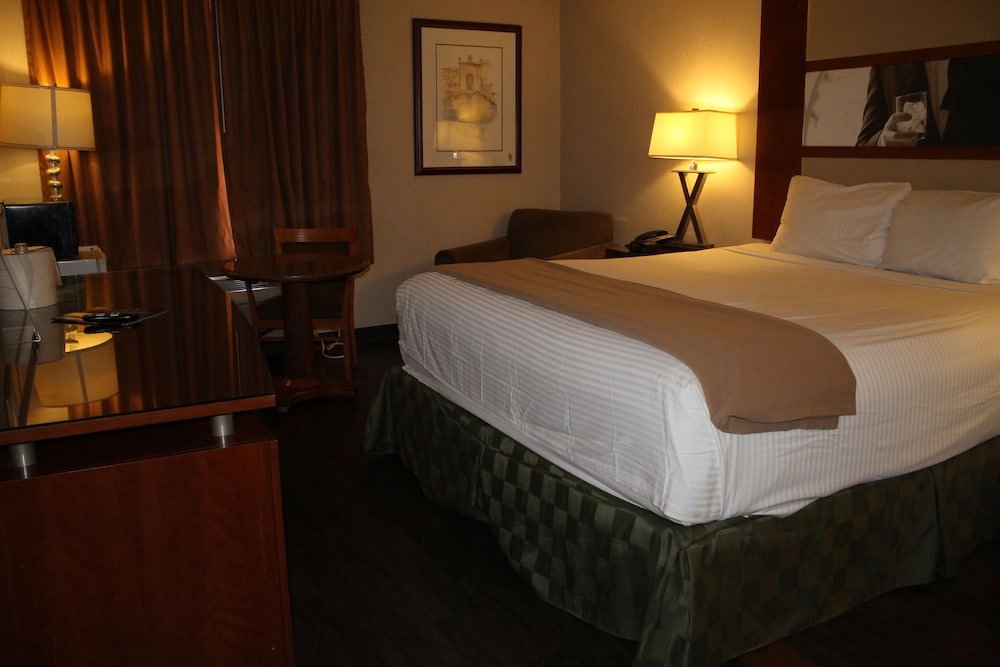 Deluxe Suite (1 King Bed Non Smoking) photo 2