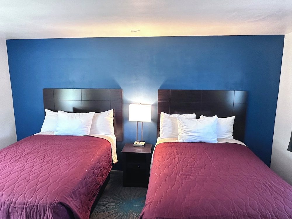 Basic Single Room, 2 Double Beds, Non Smoking photo 1