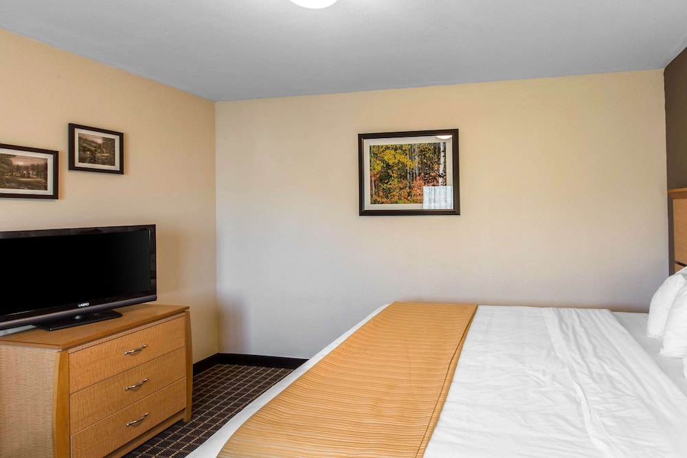 Room, 1 King Bed with Sofa bed, Accessible, Non Smoking - Photo 5