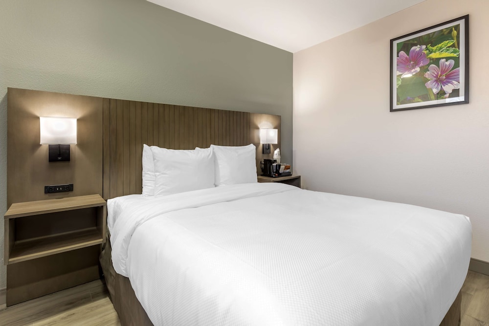 Standard Room, 1 Queen Bed, Accessible, Non Smoking - Photo 2