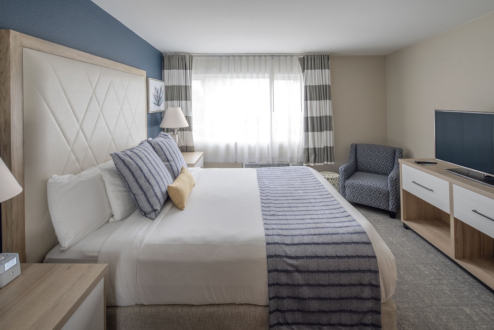 Suite, 1 King Bed with Sofa bed, Refrigerator & Microwave, Bay View photo 2